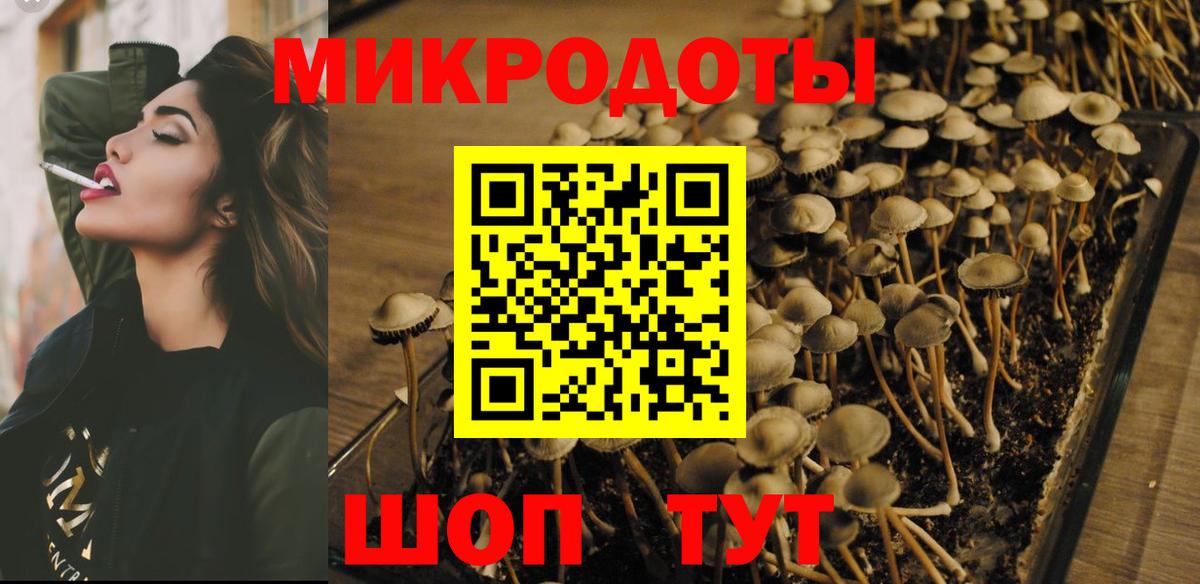Аша  Псилоцибиновые грибы Psilocybine cubensis  Вход с VPN 