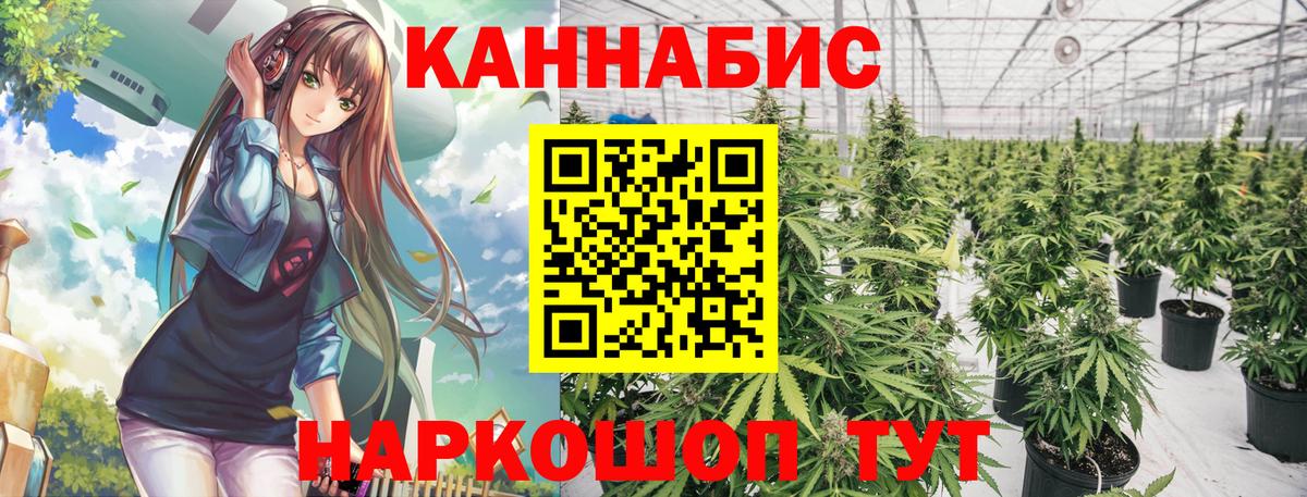 Конопля MAZAR Аша